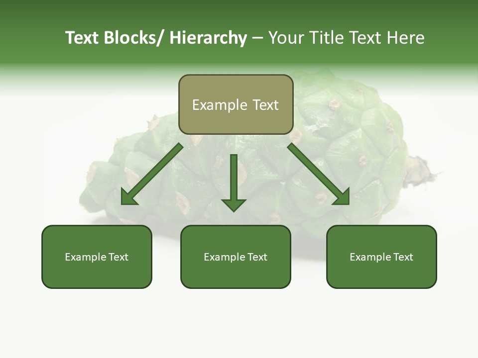 Pine Tree Spring Colour PowerPoint Template