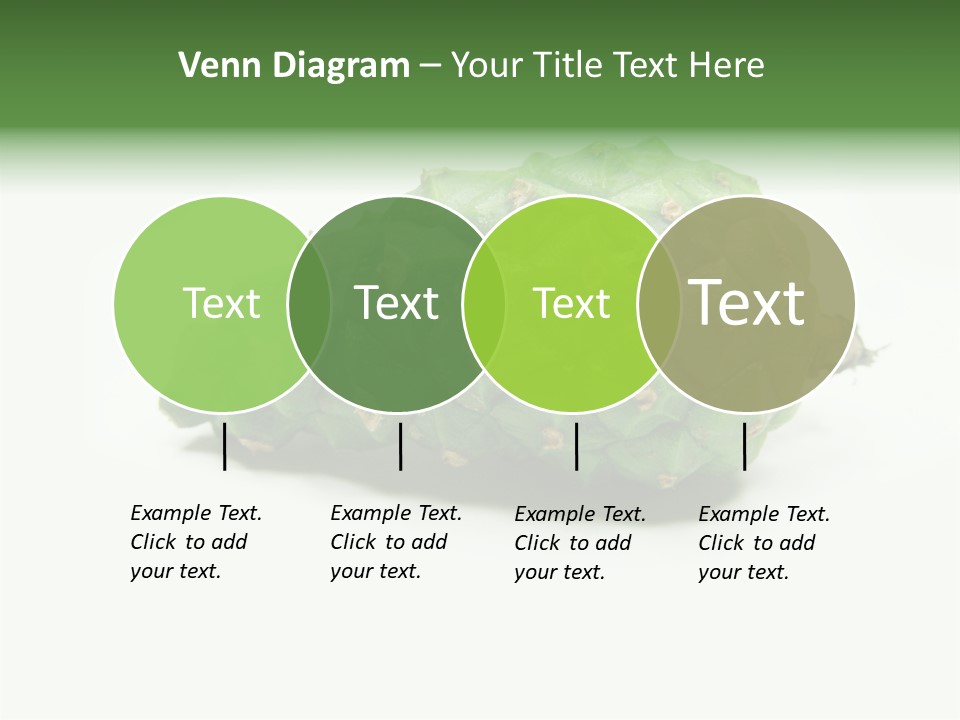 Pine Tree Spring Colour PowerPoint Template