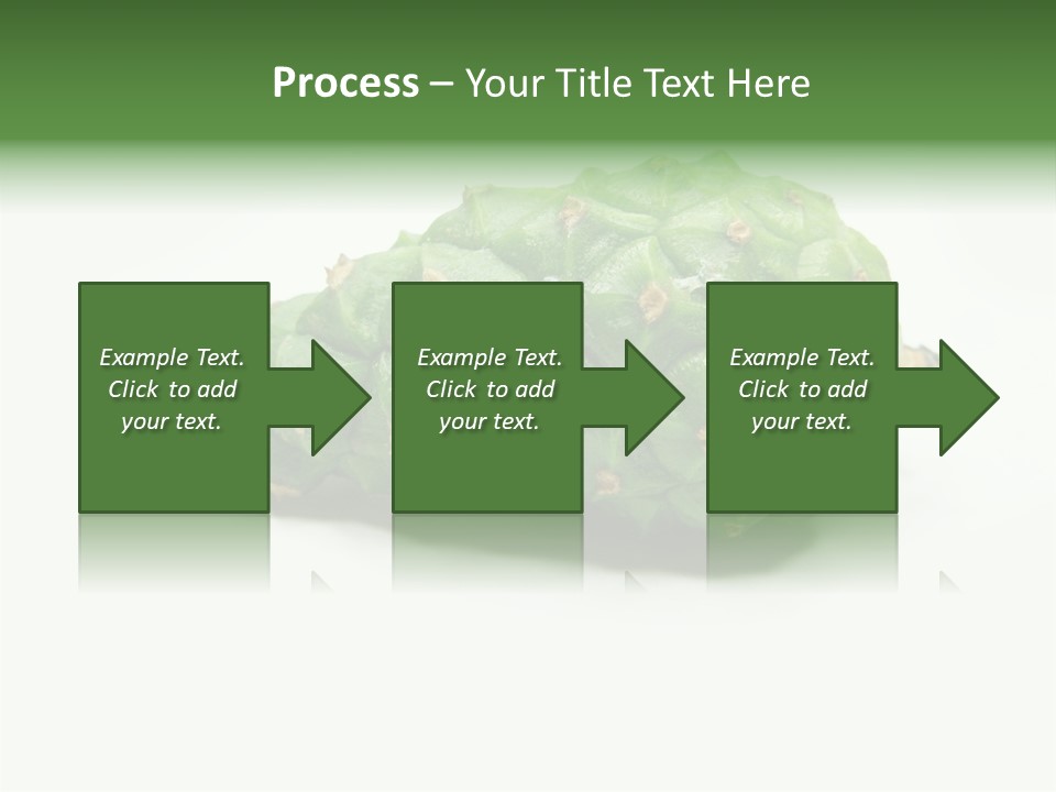 Pine Tree Spring Colour PowerPoint Template