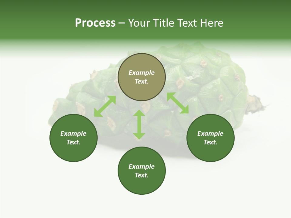 Pine Tree Spring Colour PowerPoint Template