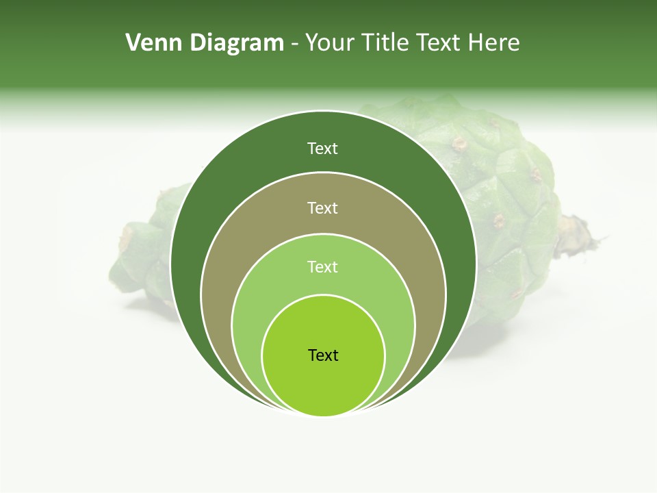 Pine Tree Spring Colour PowerPoint Template