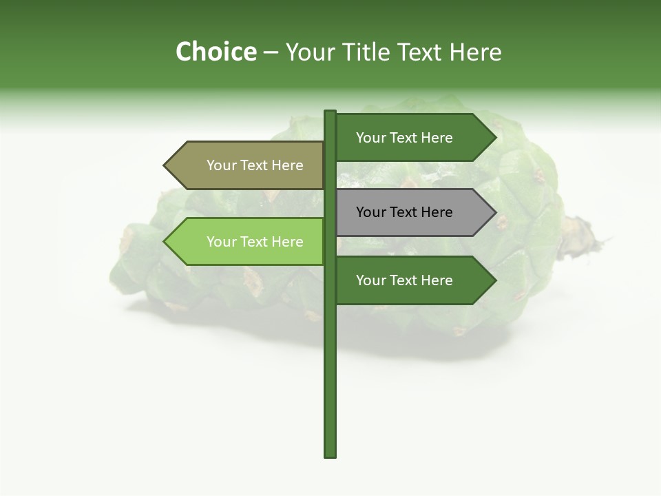 Pine Tree Spring Colour PowerPoint Template