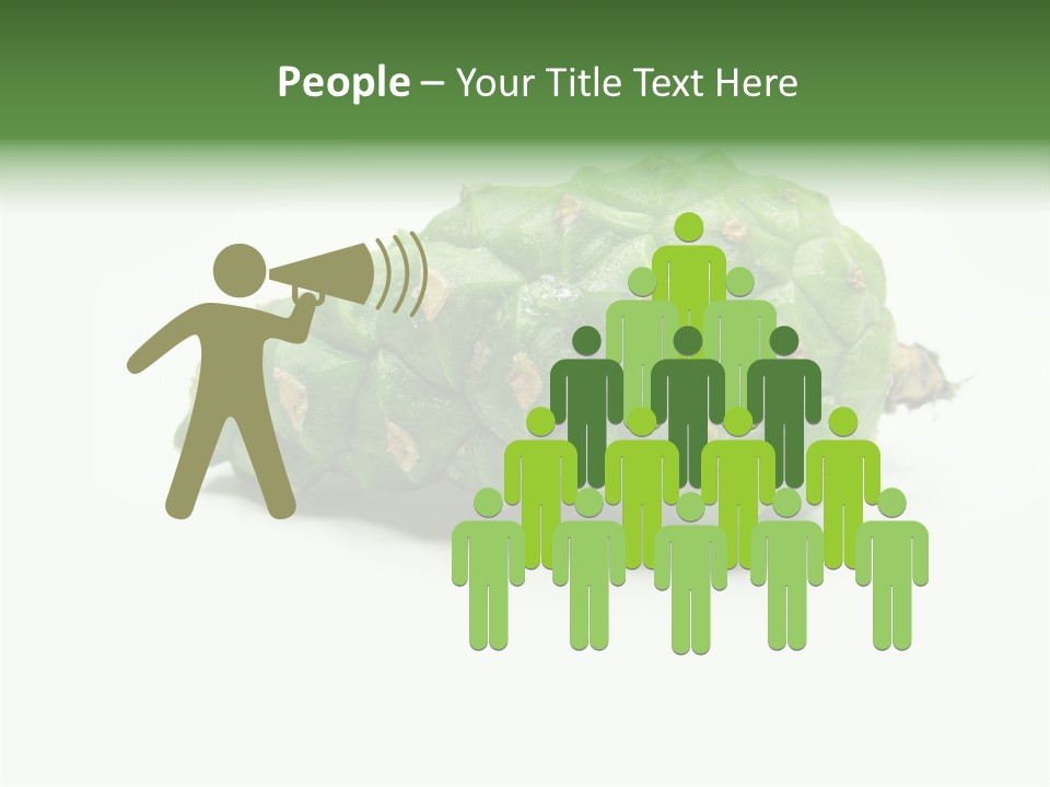 Pine Tree Spring Colour PowerPoint Template