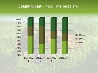 Human Face Smiling Sensuality PowerPoint Template