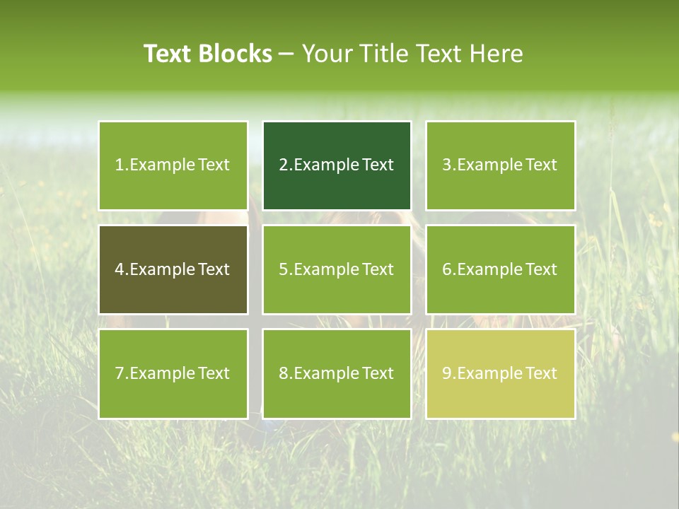 Human Face Smiling Sensuality PowerPoint Template