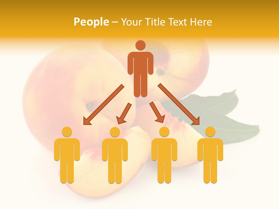 Red Healthy White PowerPoint Template