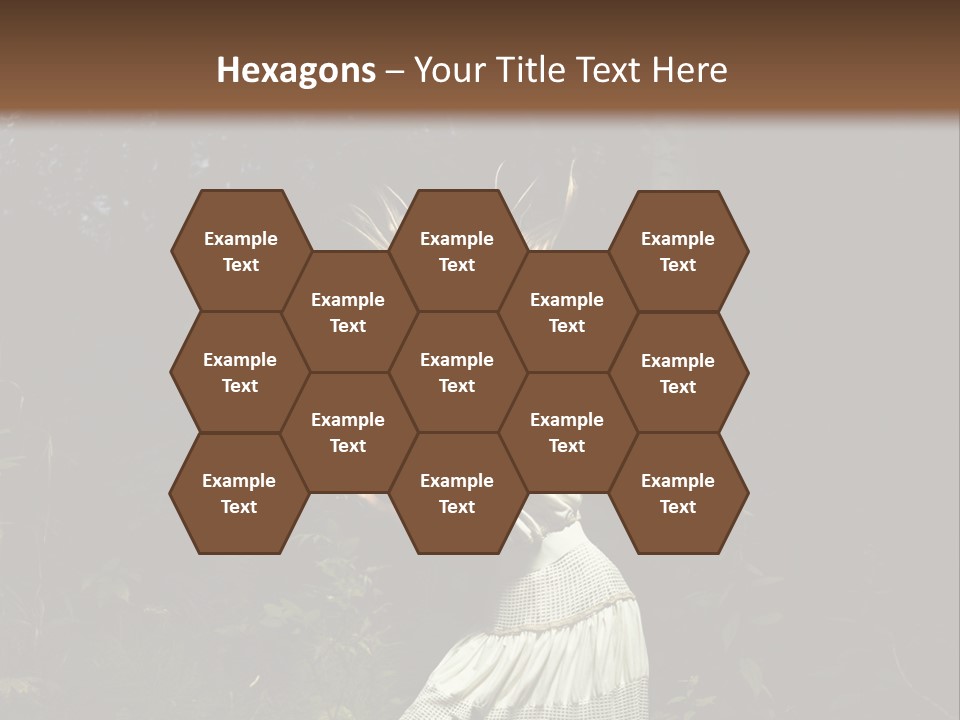 Birch Wood Vivid PowerPoint Template