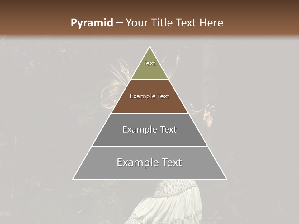 Birch Wood Vivid PowerPoint Template