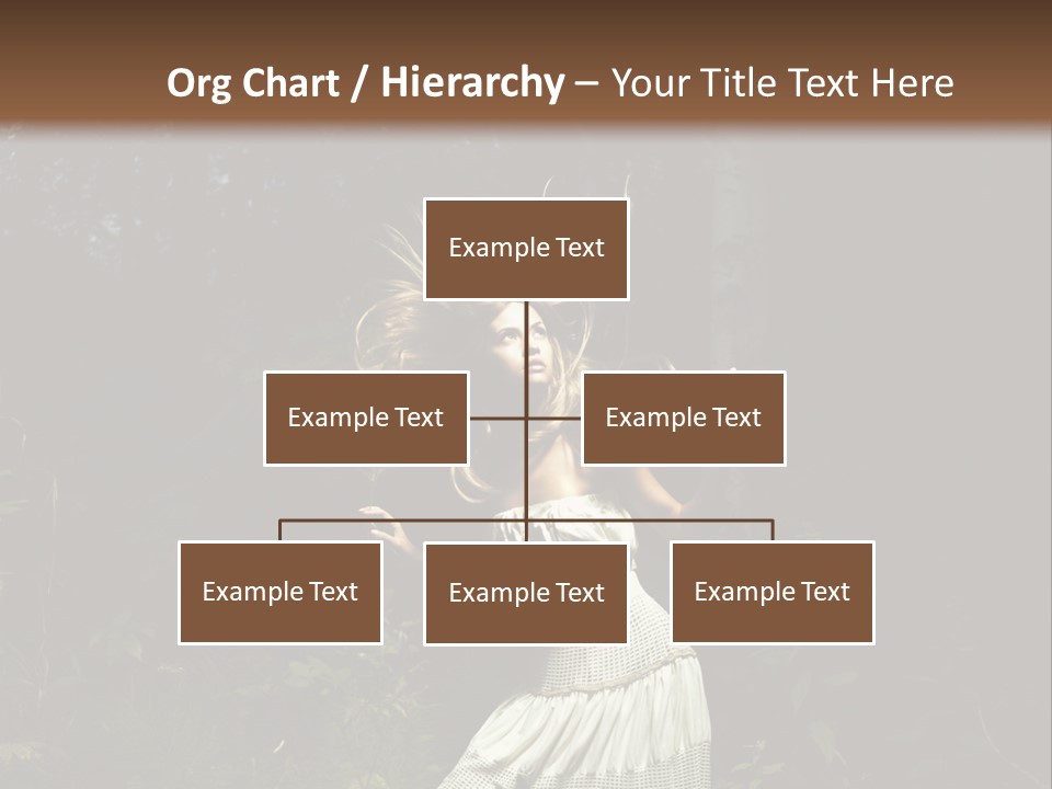 Birch Wood Vivid PowerPoint Template