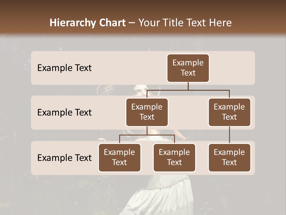 Birch Wood Vivid PowerPoint Template