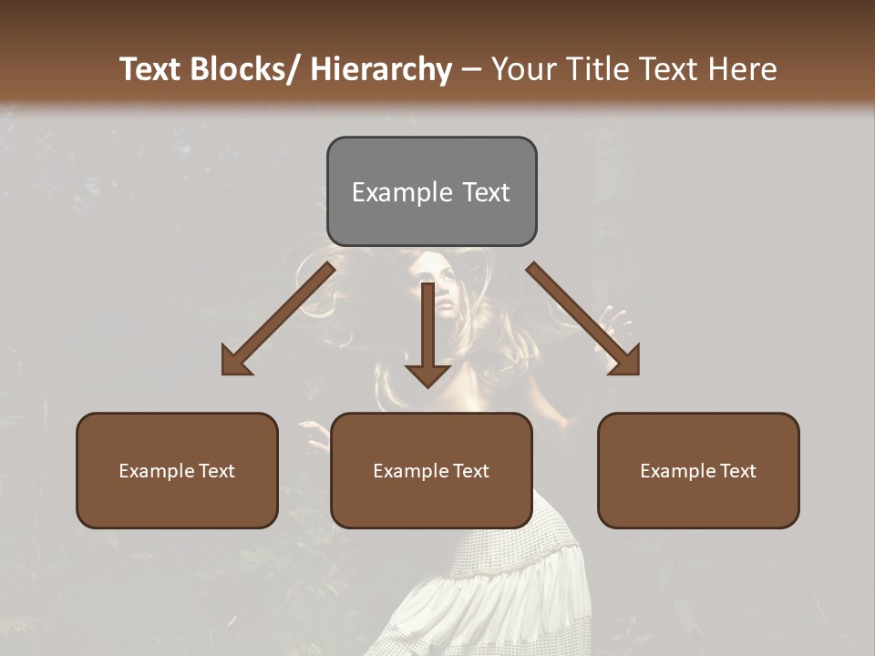 Birch Wood Vivid PowerPoint Template