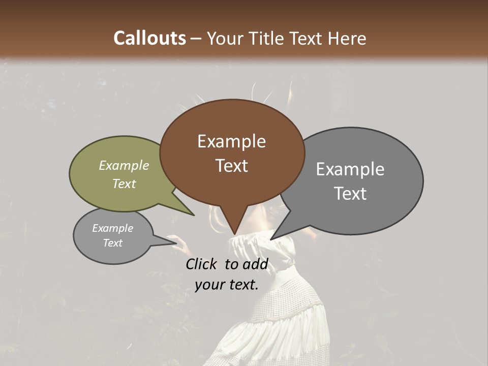 Birch Wood Vivid PowerPoint Template