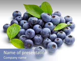 Juicy Blueberry Fruit PowerPoint Template