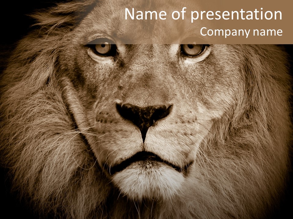Noble Lion Mane PowerPoint Template