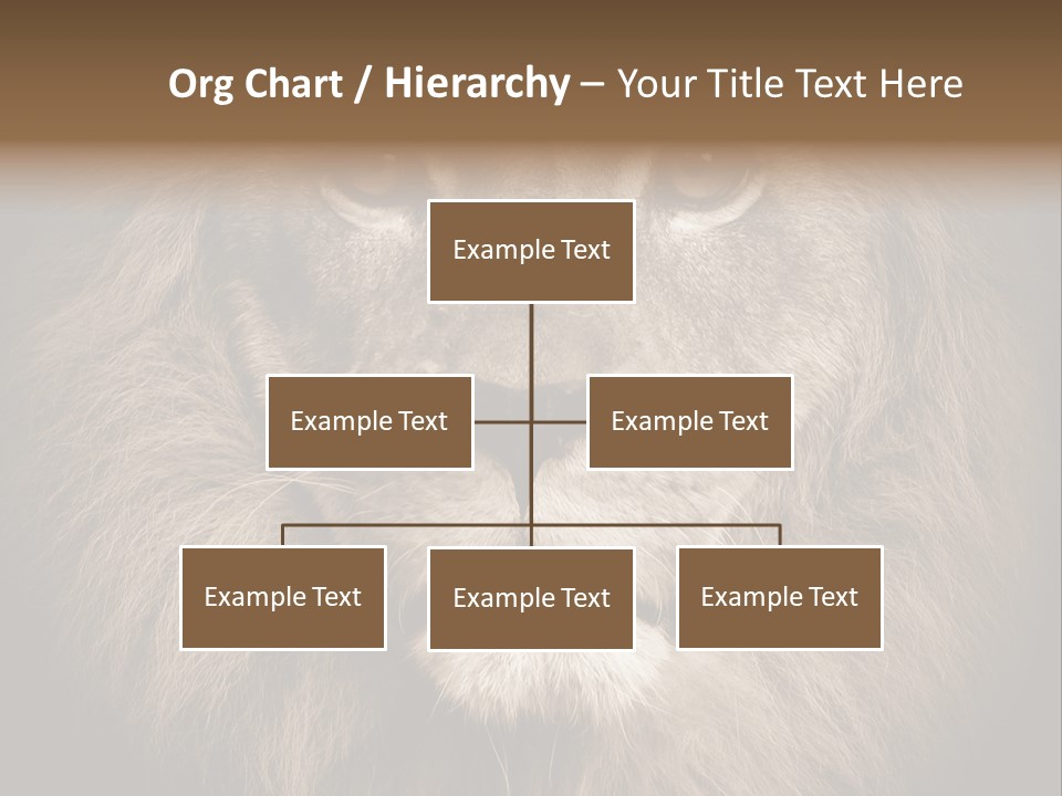 Noble Lion Mane PowerPoint Template