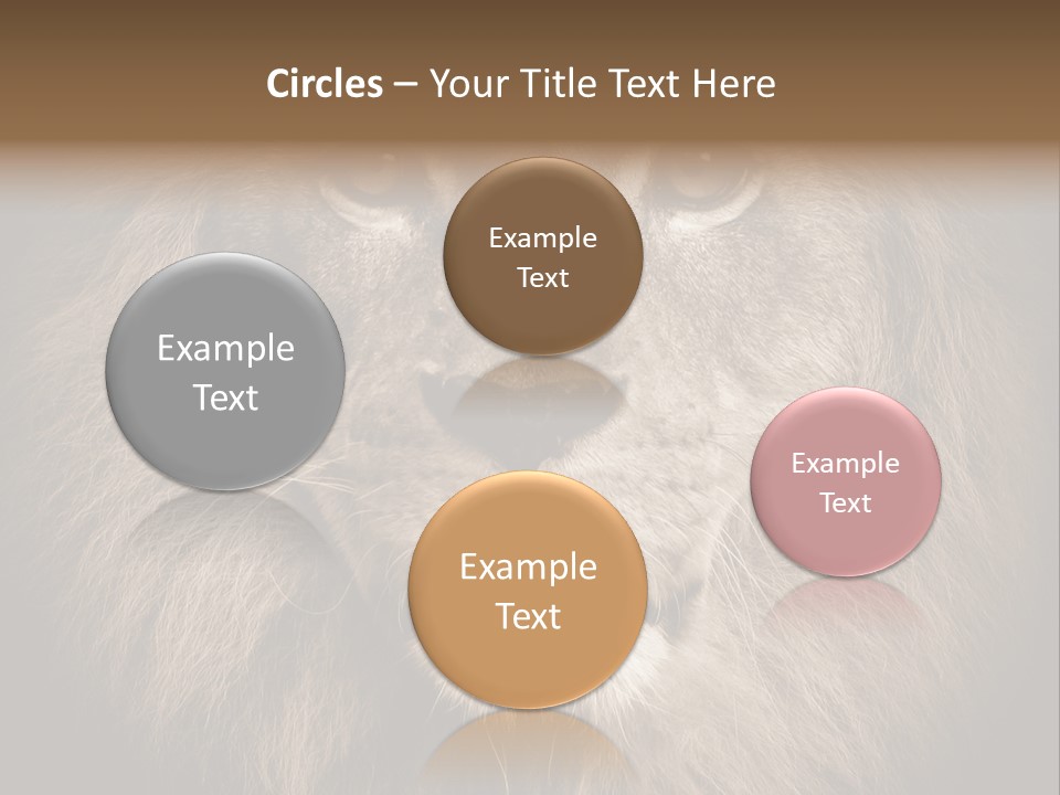 Noble Lion Mane PowerPoint Template