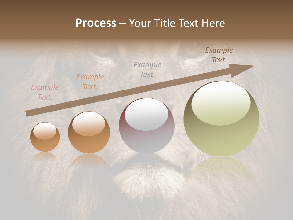 Noble Lion Mane PowerPoint Template