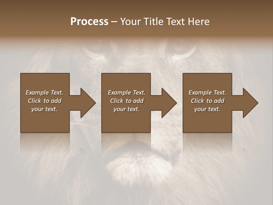 Noble Lion Mane PowerPoint Template