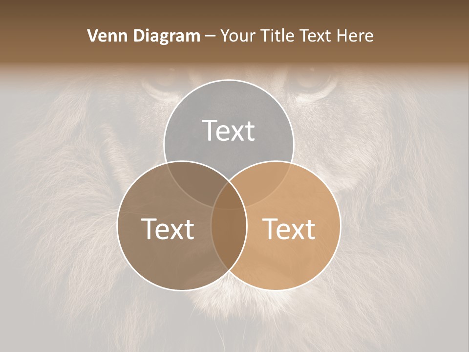 Noble Lion Mane PowerPoint Template