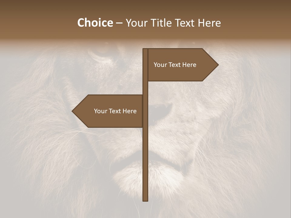 Noble Lion Mane PowerPoint Template
