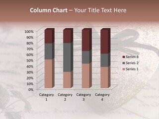 Lavandula Nostalgia Admission PowerPoint Template