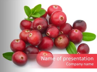 Red Cranberry Eating PowerPoint Template