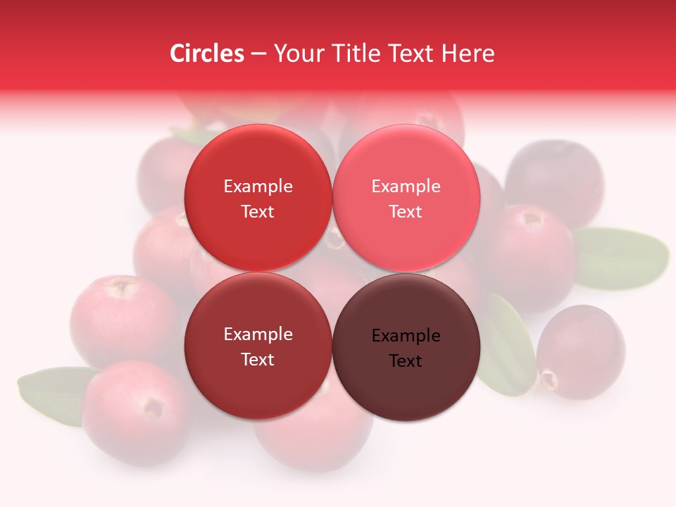 Red Cranberry Eating PowerPoint Template