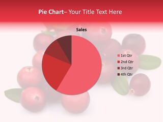 Red Cranberry Eating PowerPoint Template