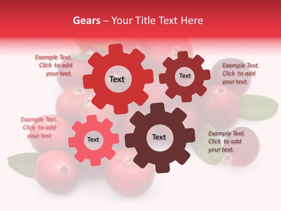 Red Cranberry Eating PowerPoint Template