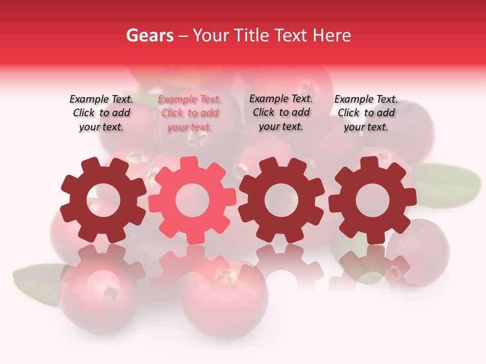 Red Cranberry Eating PowerPoint Template