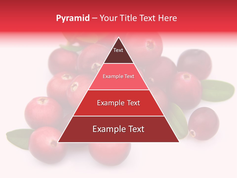 Red Cranberry Eating PowerPoint Template