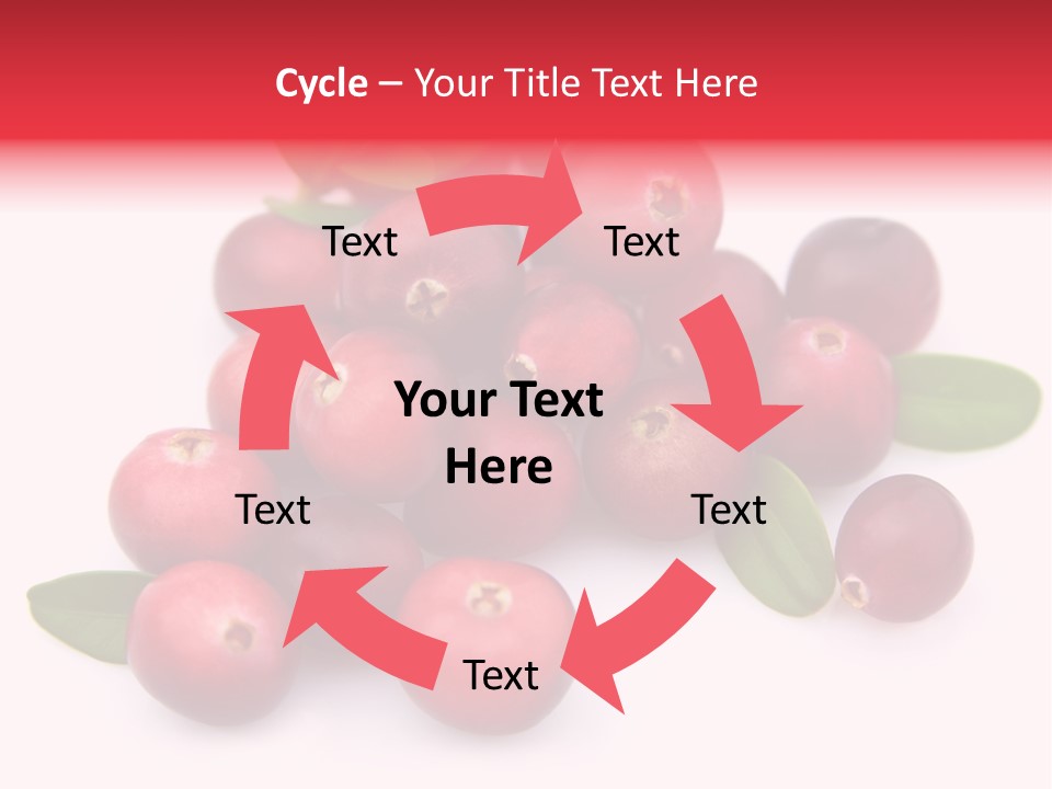Red Cranberry Eating PowerPoint Template