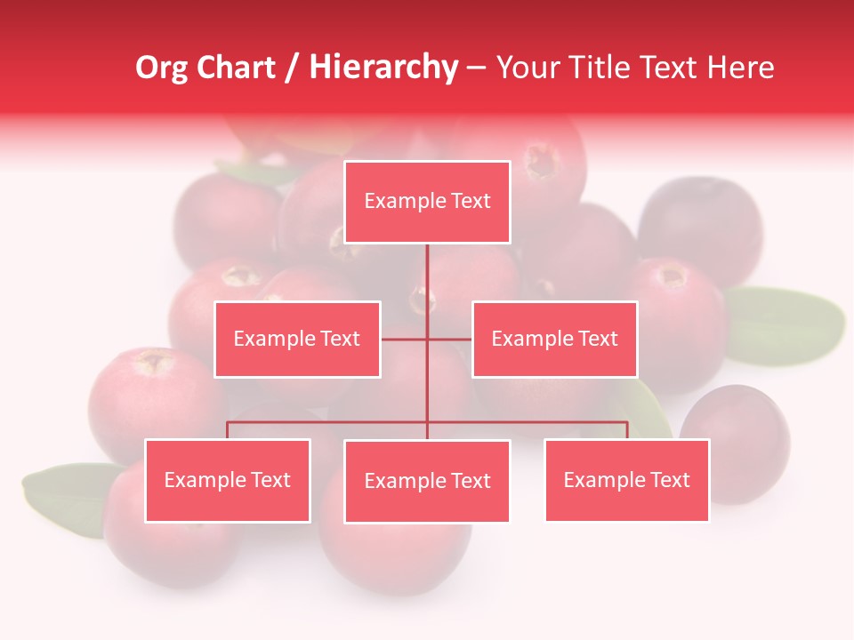 Red Cranberry Eating PowerPoint Template