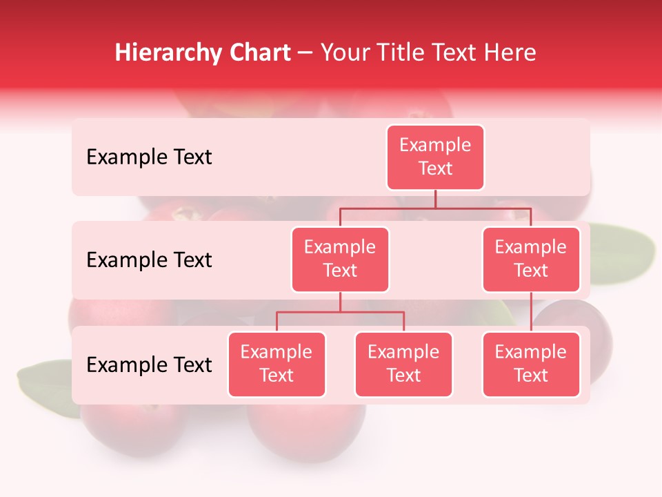 Red Cranberry Eating PowerPoint Template