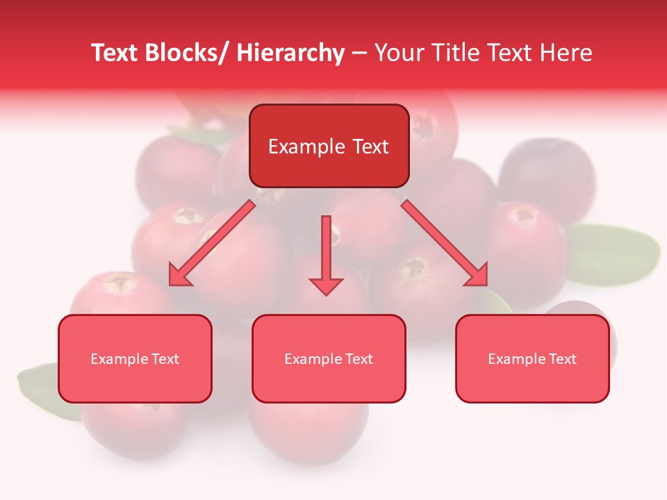 Red Cranberry Eating PowerPoint Template