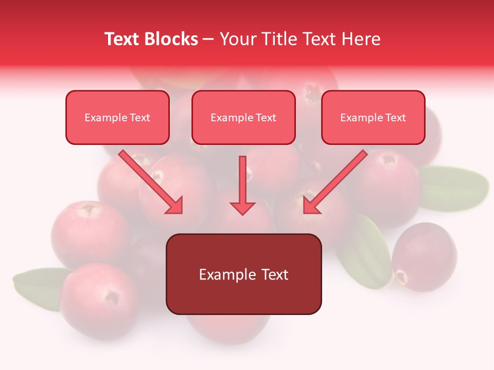 Red Cranberry Eating PowerPoint Template