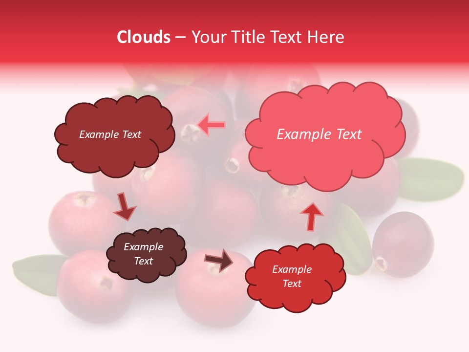 Red Cranberry Eating PowerPoint Template