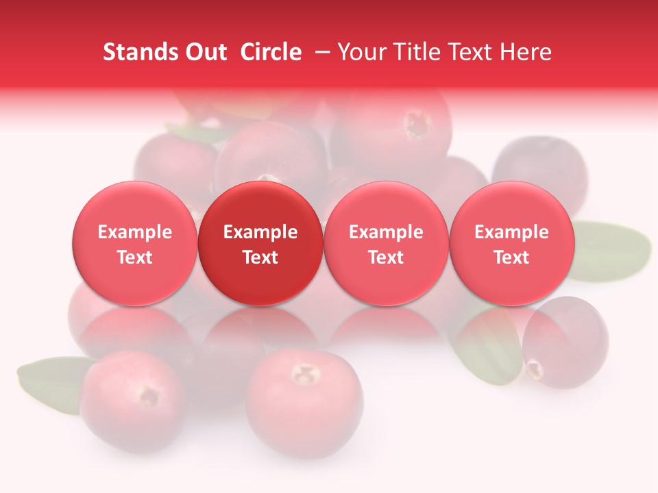 Red Cranberry Eating PowerPoint Template