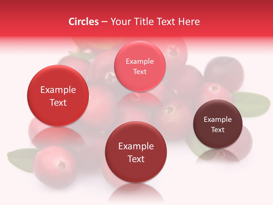 Red Cranberry Eating PowerPoint Template