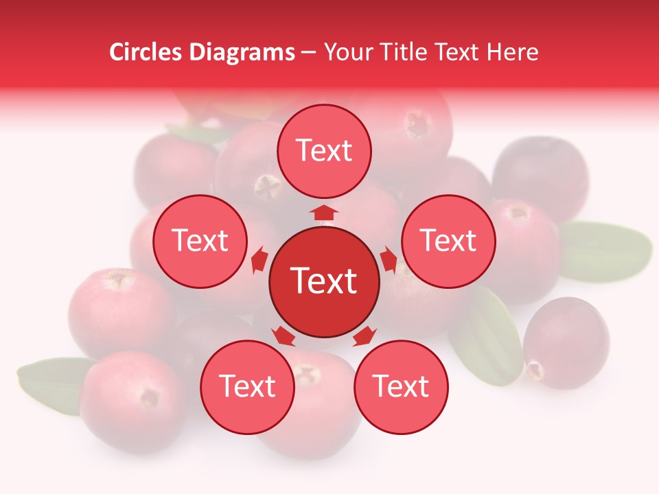Red Cranberry Eating PowerPoint Template