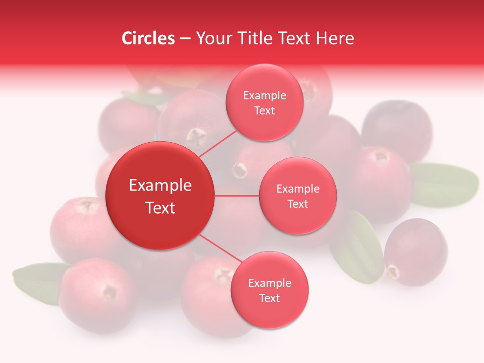 Red Cranberry Eating PowerPoint Template