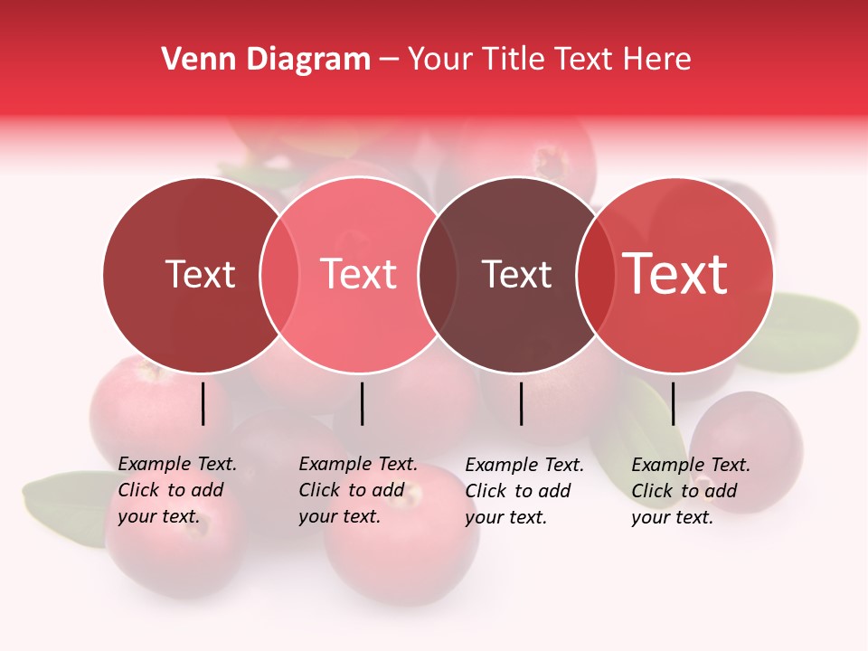Red Cranberry Eating PowerPoint Template