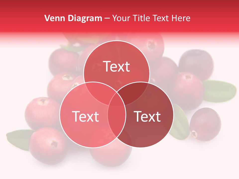 Red Cranberry Eating PowerPoint Template