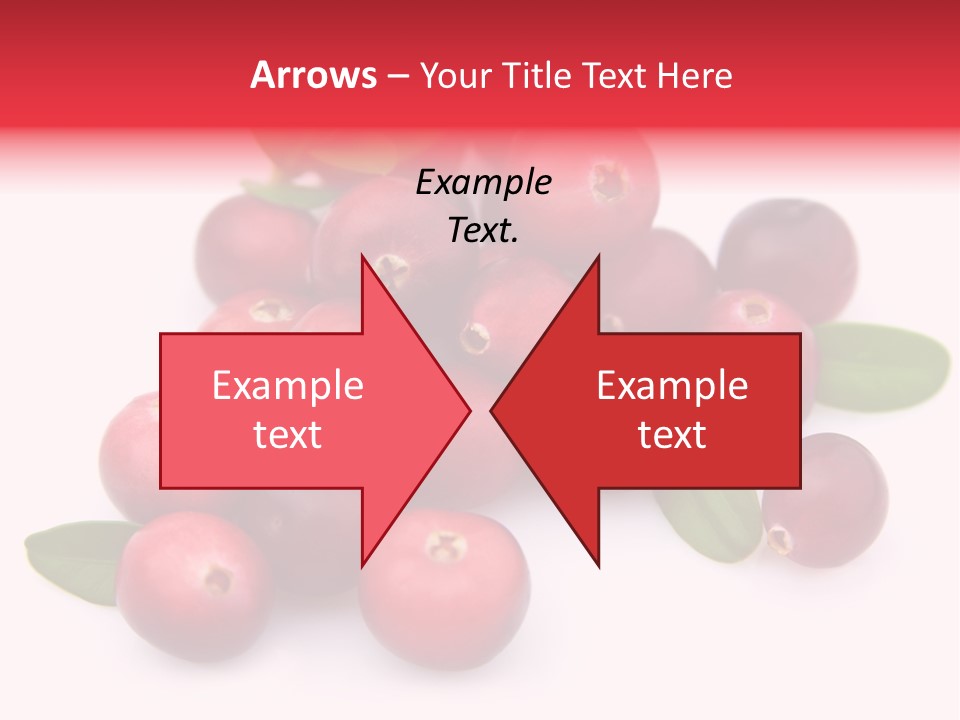 Red Cranberry Eating PowerPoint Template