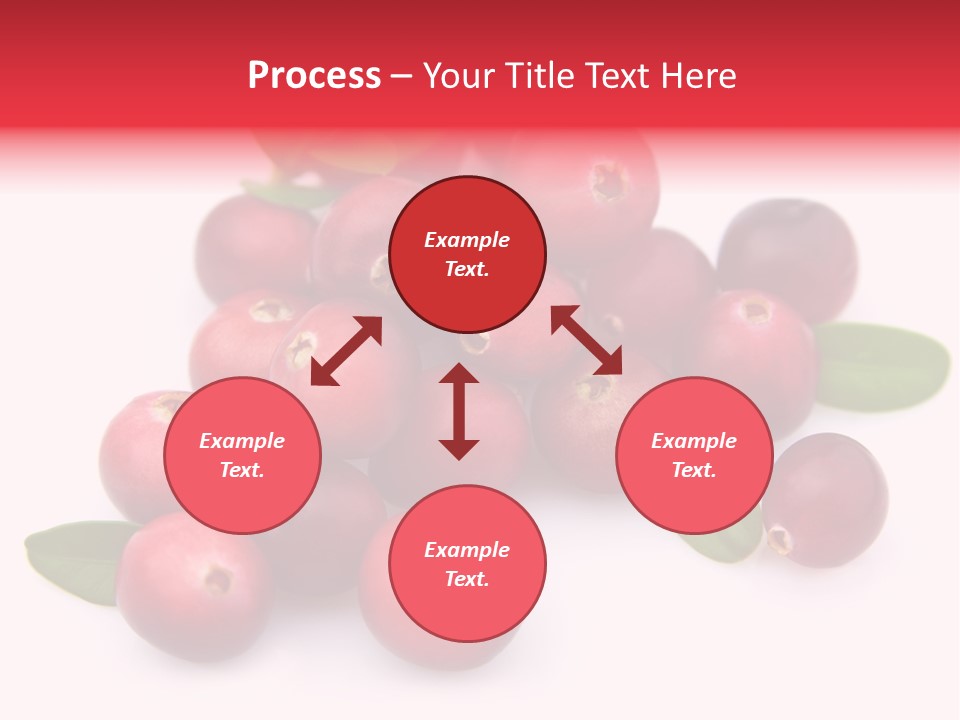 Red Cranberry Eating PowerPoint Template