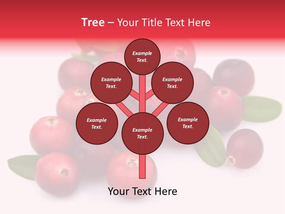 Red Cranberry Eating PowerPoint Template