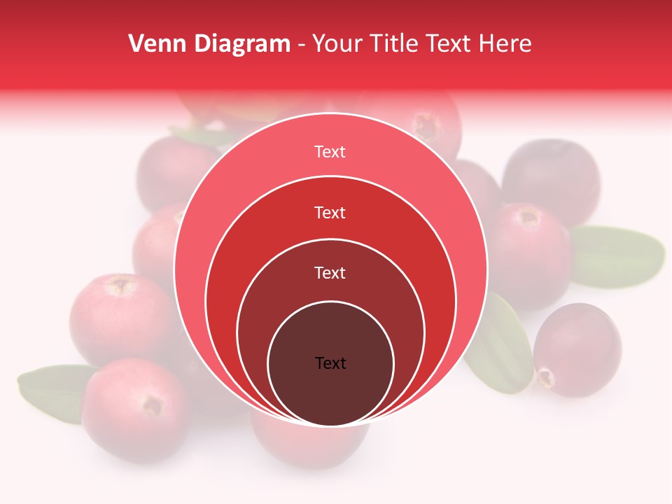 Red Cranberry Eating PowerPoint Template