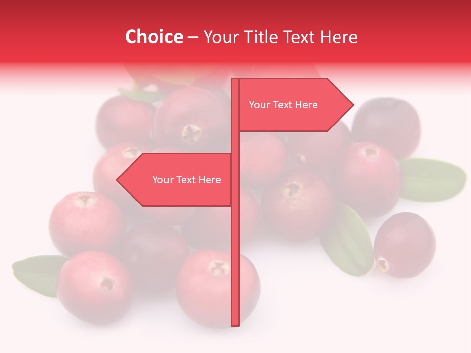 Red Cranberry Eating PowerPoint Template