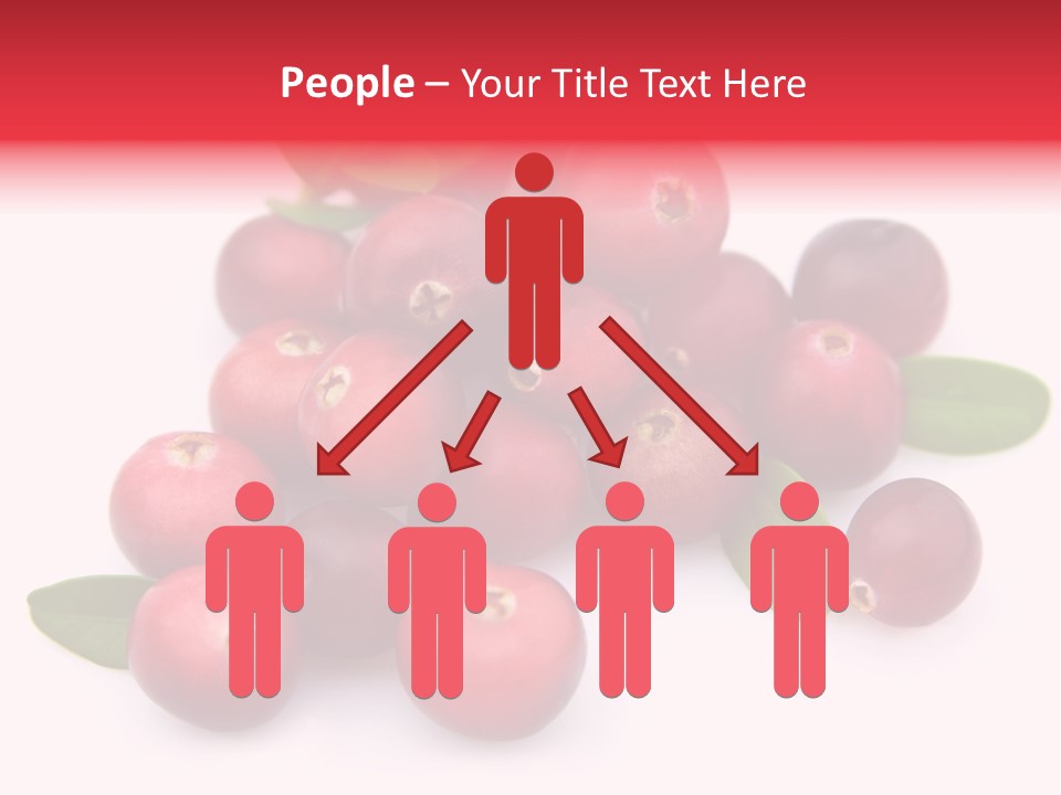 Red Cranberry Eating PowerPoint Template