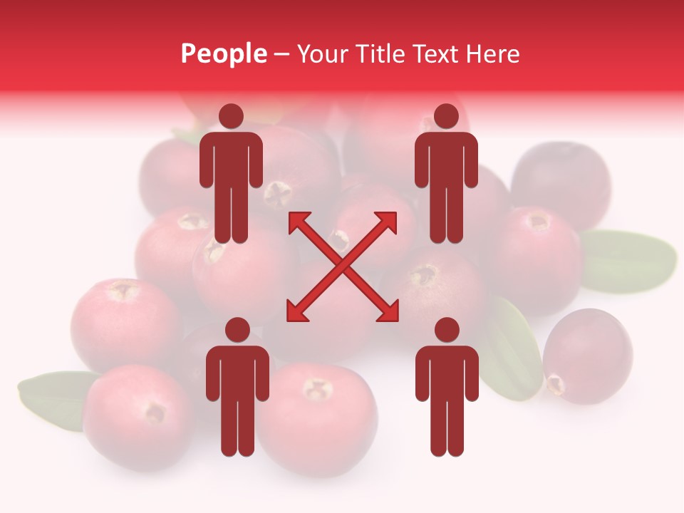 Red Cranberry Eating PowerPoint Template